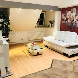 Sonnige 2-zi-wohnung Nähe Stadtmitte Und Messe Apartment